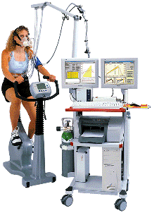 ������ ������-�������  � ������������ CARDIOVIT AT-104 Ergo-Spiro , Schiller